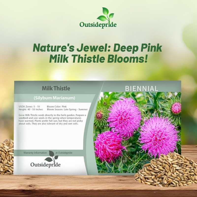 Outsidepride Milk Thistle Seeds - 200 Pcs Biennal, Hardy &