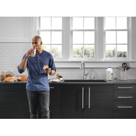Peerless P7935LF Parkwood Single Handle Pulldown Kitchen Faucet Pull-Down, Chrome