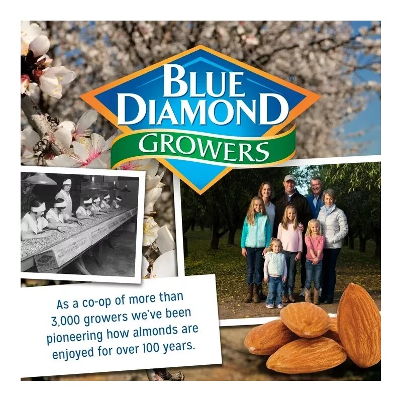 Blue Diamond Bold Spicy Dill Pickle Almonds - Size 6