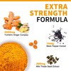 EnvyCure 5 in 1 Turmeric Curcumin Softgels 2000mg with Milk