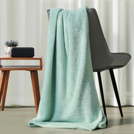 Felesha Fingal Plush Fleece Throw Blanket for Couch and Bed, Fluffy Fuzzy Cozy Queen-Size Soft Blankets All Season Use (60x80 Inches,Aqua)