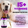 Natural Multivitamin Dog Supports Dog Nutritions, Dog Supplement, Dog Multivitamin