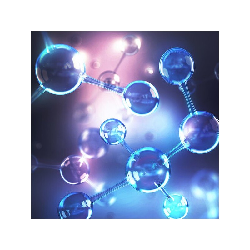 고함량 알부민 골드 600MG 1통 60정 단백질 난백분 High Concentration