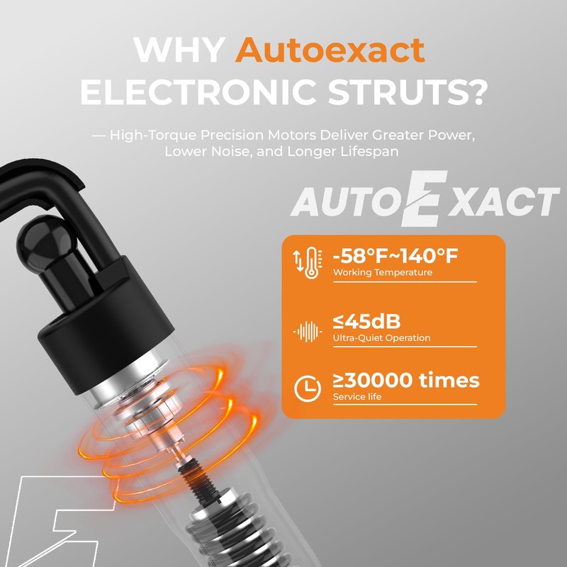 Power Liftgate Struts Compatible with 2013-2018 Toyota RAV4, Left &