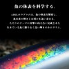 DAIWA Seabass Minnow Shoreline Shiner Z Vertis R 125S Adeluphine