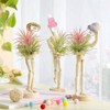 Melphoe 3 Pack Air Plant Holder Wooden Jointed Mannequin Tabletop