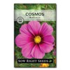 Sow Right Seeds - Radiance Cosmos Flower Seed for Planting