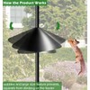 Fandature Fandature 19 Inch PP Squirrel Proof Baffle for Protecting