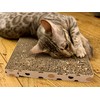 Cat FurNature - Silver Vine Leaves for cats in a