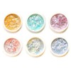 Tokyo Koeki T10-J Opal Glitter Powder, 6 Color Set, Approx.