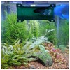 SeeShelter Brand Betta Tunnel (Opaque Dark Green)