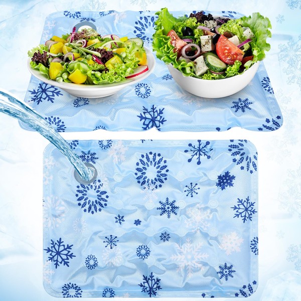 LemonRoad 2 Pack Reusable Freezable Ice Mat Sheets for Coolers