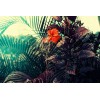 Lomography Lomochrome Purple 35mm ISO 100 Color Shifting Film for
