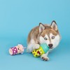 Fringe Studio Dog Toy Set, Best-Teas, 2Pc Mini, Latex, Pet