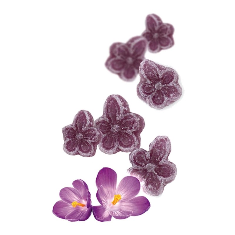 Andy Anand Sugar-Free Violets, A Typical Old Candy Dragée 3.5