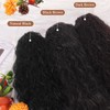 BARSDAR Comb Clip Ponytail Extension with Drawstring, 56 cm Curly