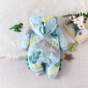XIXIMAON Infant Baby Boy Plush Hooded Jumpsuit Dinosaur Pattern Button