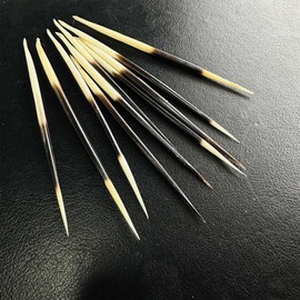 10PCS Porcupine Quills,Bird Quills,Crafts Accessories Fishing Buoy,DIY Sewing Project Kits
