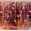 Holitown Flamingo String Lights Battery Operated with Remote 10FT 40LEDs
