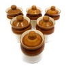 WHOLELIFEOBJECTS Ceramic Pickle Jars for Dining Table with Lids &