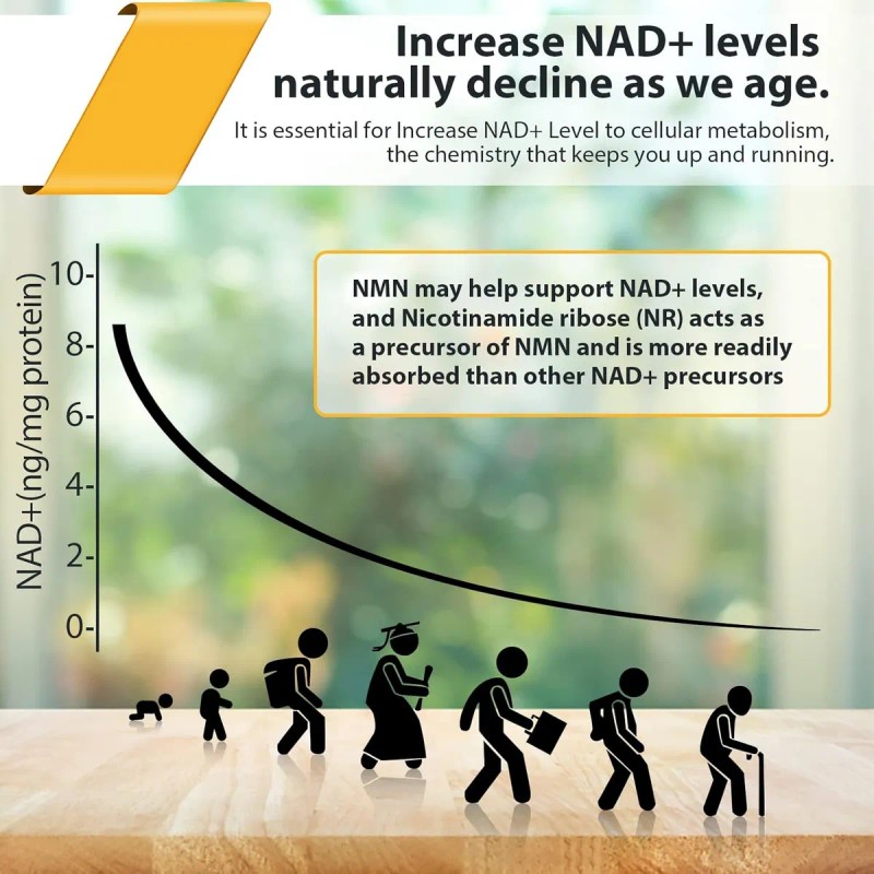 Ribosida Nicotinamida Liposomal Orgabay 60 Capsulas