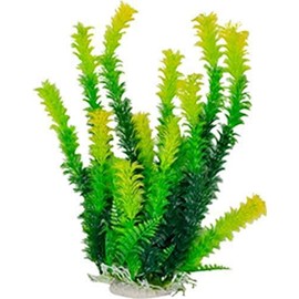 Aquatop Aquatic Supplies Bushy Plant 12in Green 36