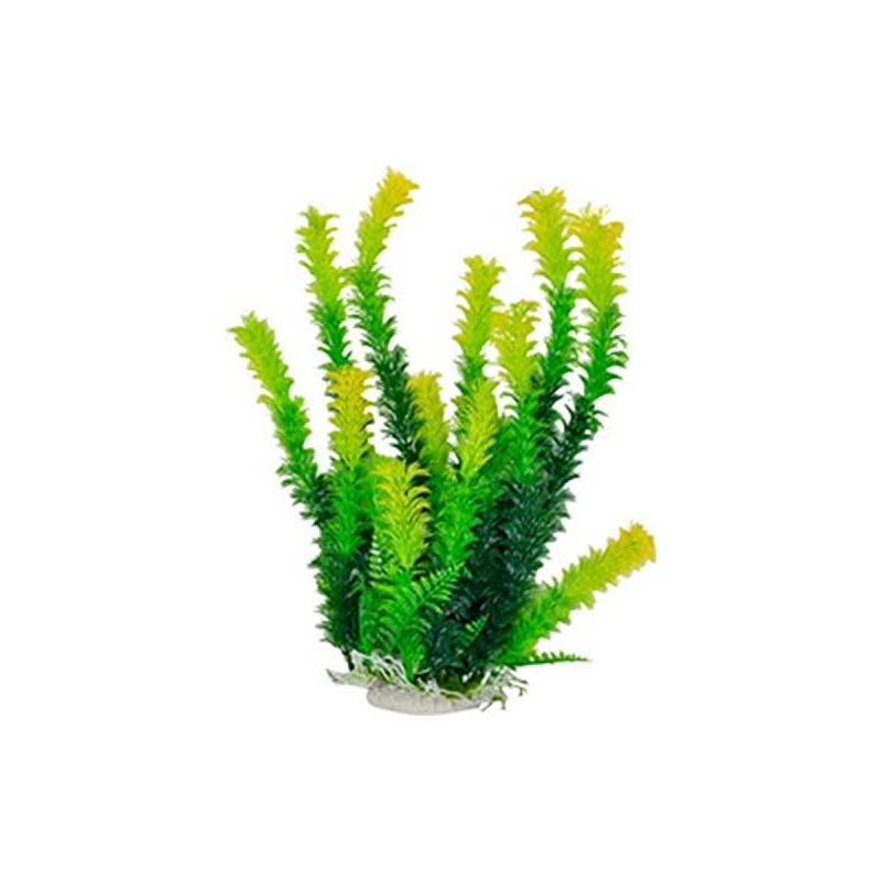 Aquatop Aquatic Supplies Bushy Plant 12in Green 36