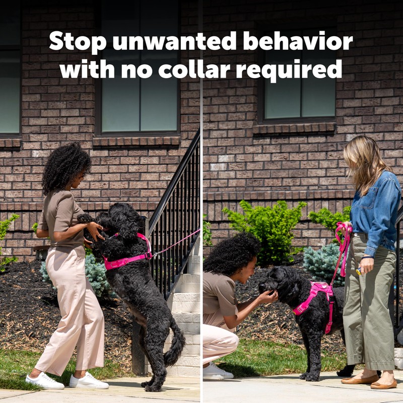 PetSafe Collarless Trainer – Ultrasonic Bark Deterrent – Handheld Anti