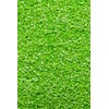 SPRINKLY - Glimmer Stars - Green (Mini) - 25g