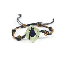 Chafer Beetle Bracelet - Black Beetle with Blue Highlights in a Faceted Jewel Shaped White Setting