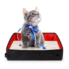 Foldable Cat Litter Tray, Portable Waterproof Cat Litter Tray, Cat Litter Tray, Travel Cat Litter Tray, for Outdoor Travel with Pets, 50 x 40 cm, Red
