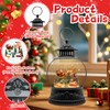 Christmas Snow Globes, Light Up Snow Globe with 6H Music