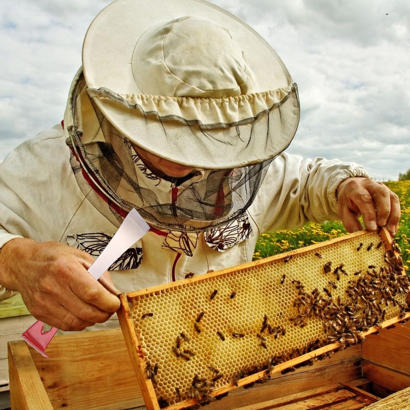 Beehive Scraper Tool, Hive Tool, Beekeeping Tools Equipment, Beekeeping Scraper,