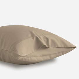 DOZ - Juego de funda de almohada, 100 % viscosa derivada de bambú, cultivada orgánicamente, suave como mantequilla, sedosa, transpirable, refrigerante, Oeko-TEX, alta GSM, paquete de 2, cierre de