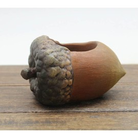 ROOGO Cute Resin Mini Succulent Pot Succulent Planter Pot Flower Pots for Mini Fleshy Plants (acorn)