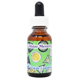 Cellular Memory ~ Cellular Memory ~