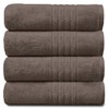 Gaveno Cavailia 100% Natural Cotton Thick Absorbent 450 GSM Hampton