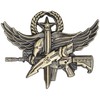 SWAT Operator Pin - Master (Antique Gold, Master)