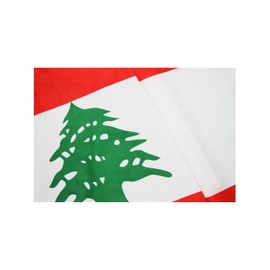 Lebanon Flag 3 x 5 NEW Lebanese 3x5 National Banner