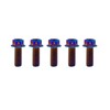 RISON Titanium Bolts Titanium Flange Hex Head Bolts Burnt Blue
