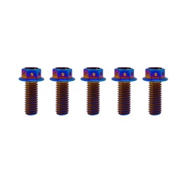 RISON Titanium Bolts Titanium Flange Hex Head Bolts Burnt Blue GR5 Titanium Screws M6x10mm Titanium Bolt Pack of 5