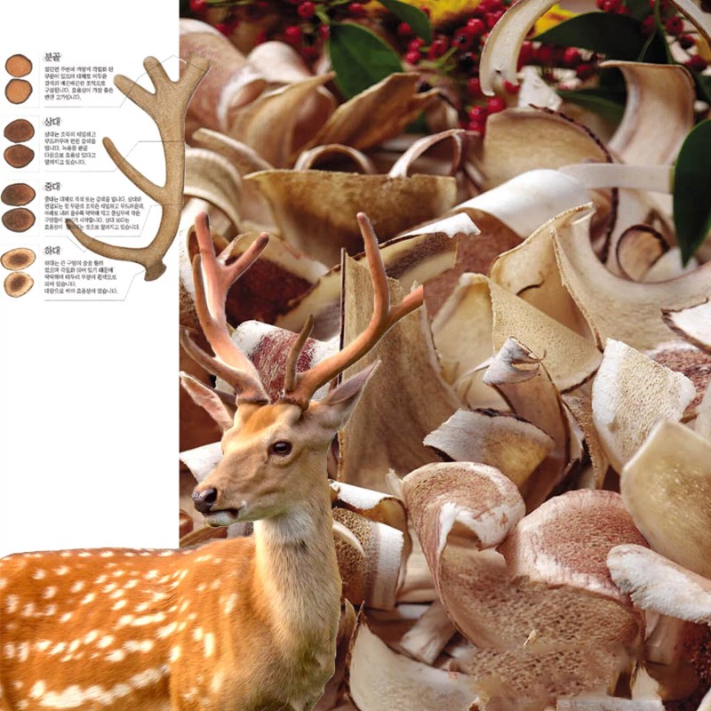 PrinceHerb Medicinal Herb, 100% Natural Russian Deer Antlers 녹각 Bulk