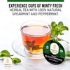 Organic Peppermint Tea Pods for Keurig - Decaf Tea by