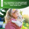 Сat Kidney Support | Milk Thistle for Cats | Herbal