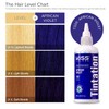 Kiss Tintation Semi-Permanent Hair Color Treatment 148 mL (5 US