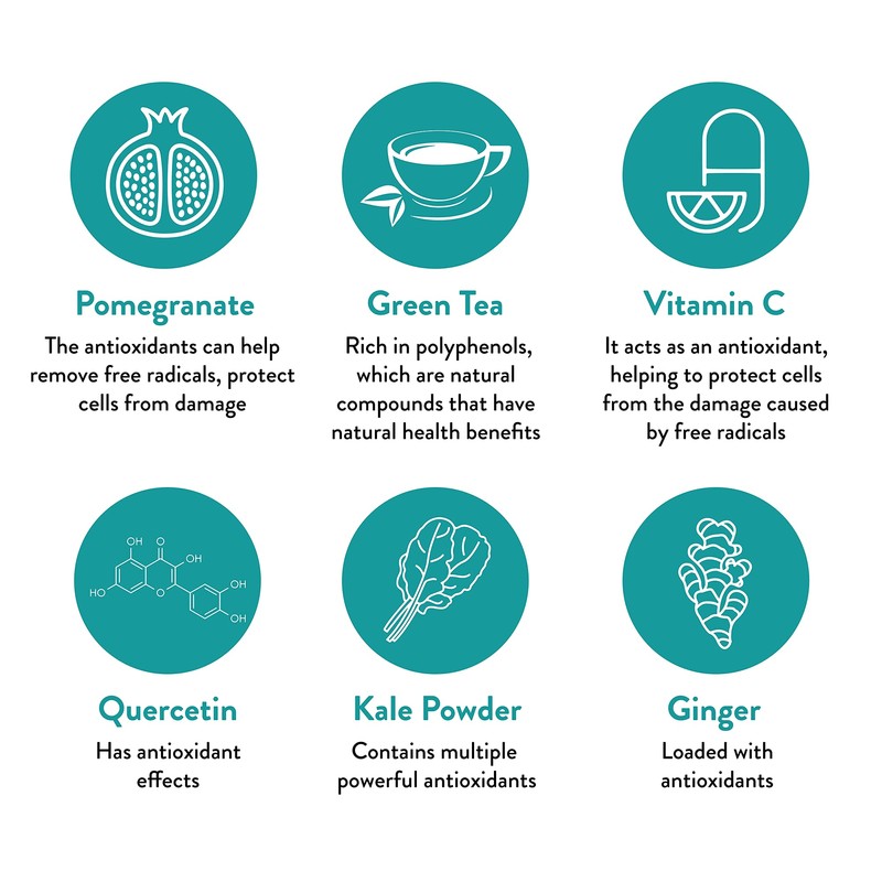 VIDAPURA Keto-Green Protein Shake by Dr. Anna Cabeca – Chocolate
