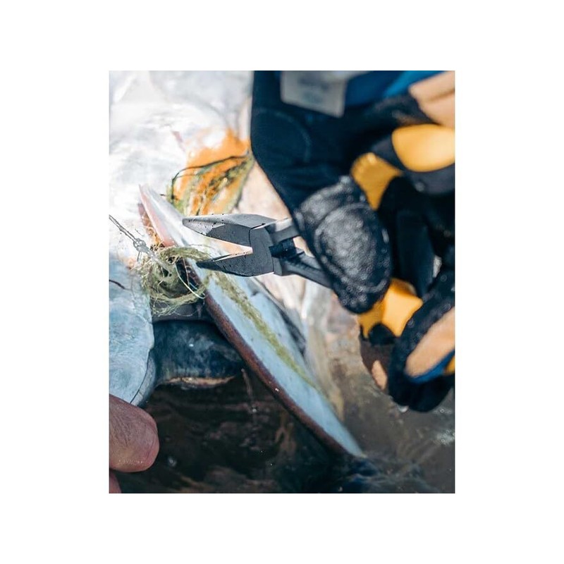 Loon Outdoors Apex Needle Nose Plier