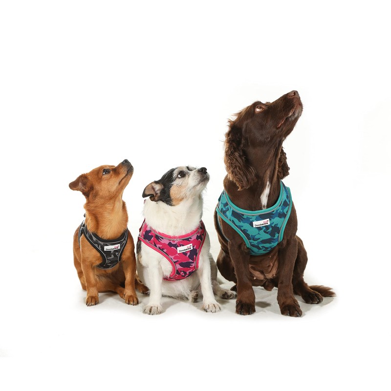 Doodlebone Originals Pattern Airmesh Dog Harness (Bright Leopard, 4)