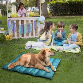 Go Gear by Max & Marlow Portable, Waterproof Roll Up Dog Mat Bed, Medium, Green (00346)