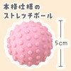 (Supervised by a Health Exercise Instructor) Nyantre Stretch Goronya, Neck